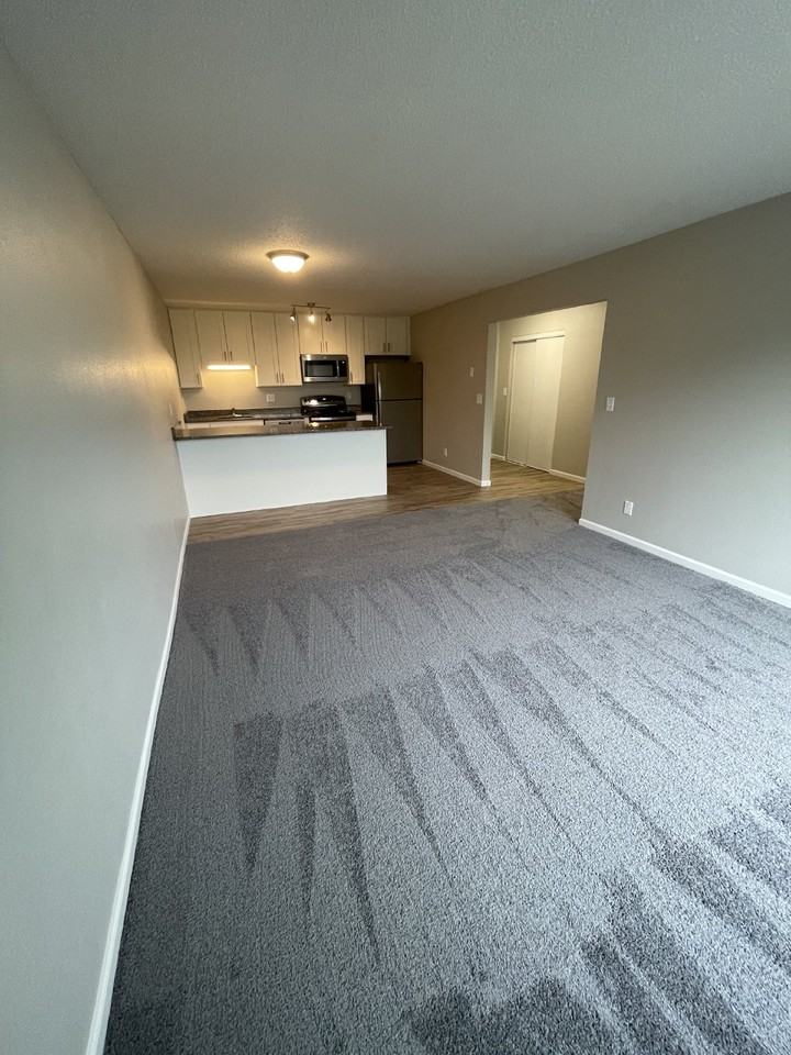 310 15th Ave W #204 - Photo 7 of 22