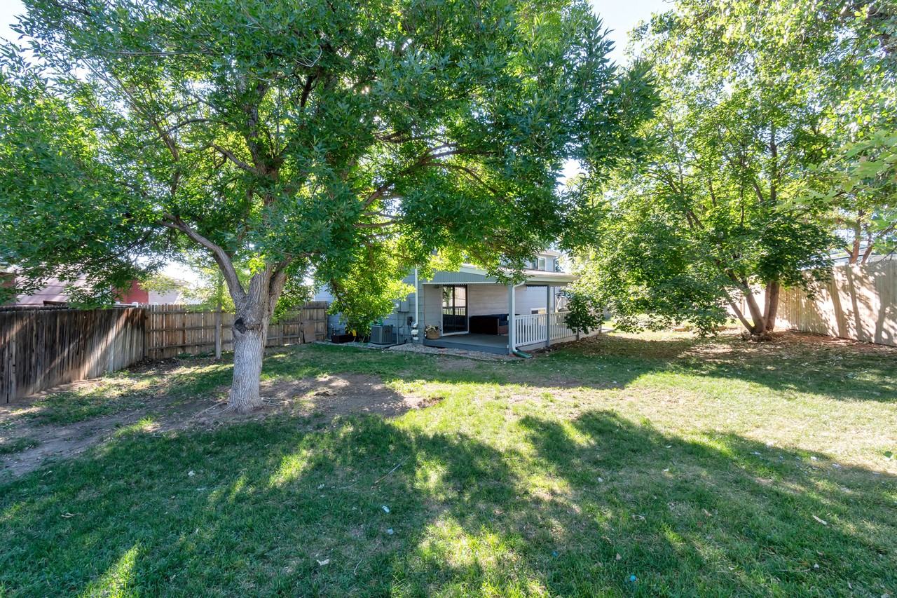 4891 S Holland Ct - Photo 3 of 14