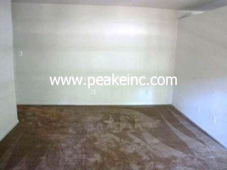 4907 Americana Dr - Photo 3 of 12