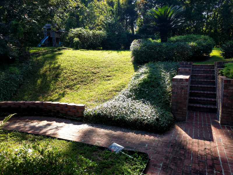 1533 Woodgate Way - Photo 3 of 21