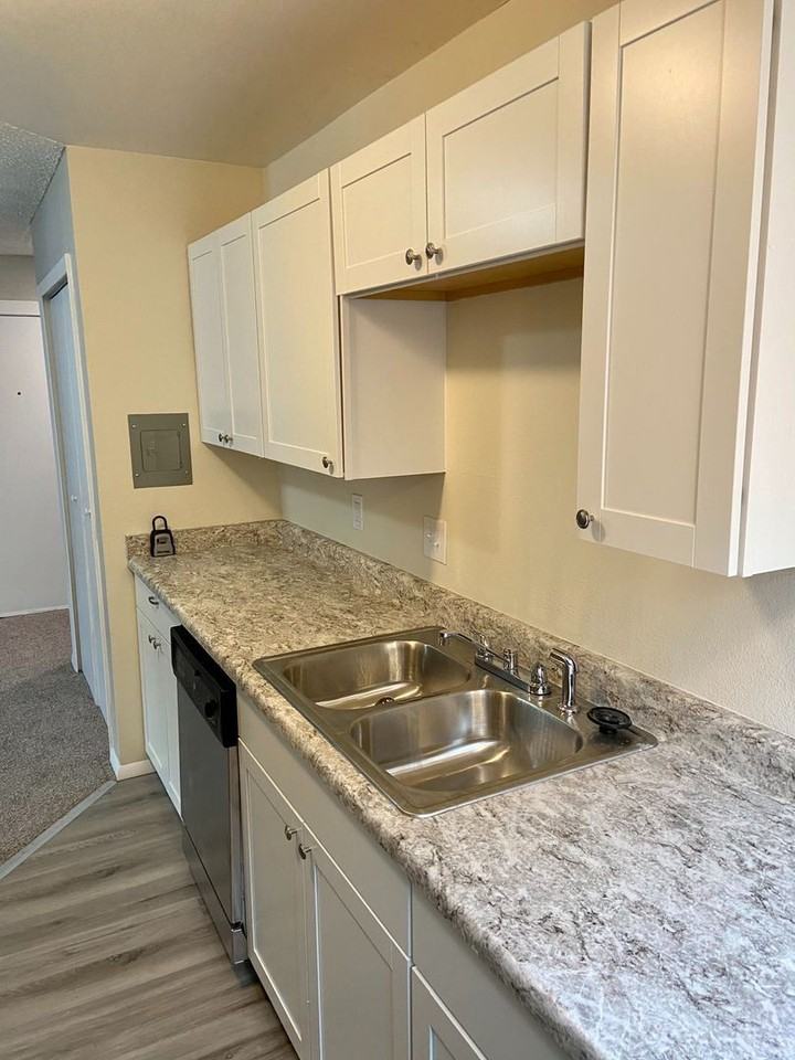 1115 Holli Springs Lane - Photo 2 of 30