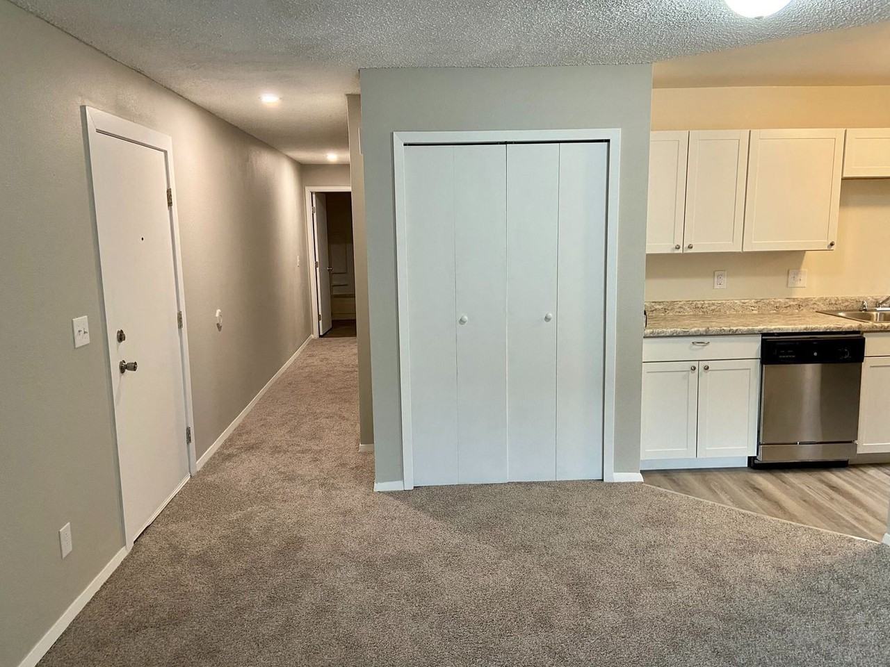 1115 Holli Springs Lane - Photo 3 of 30