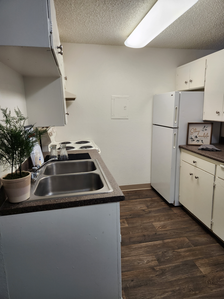 Wisteria Walk - Photo 6 of 20