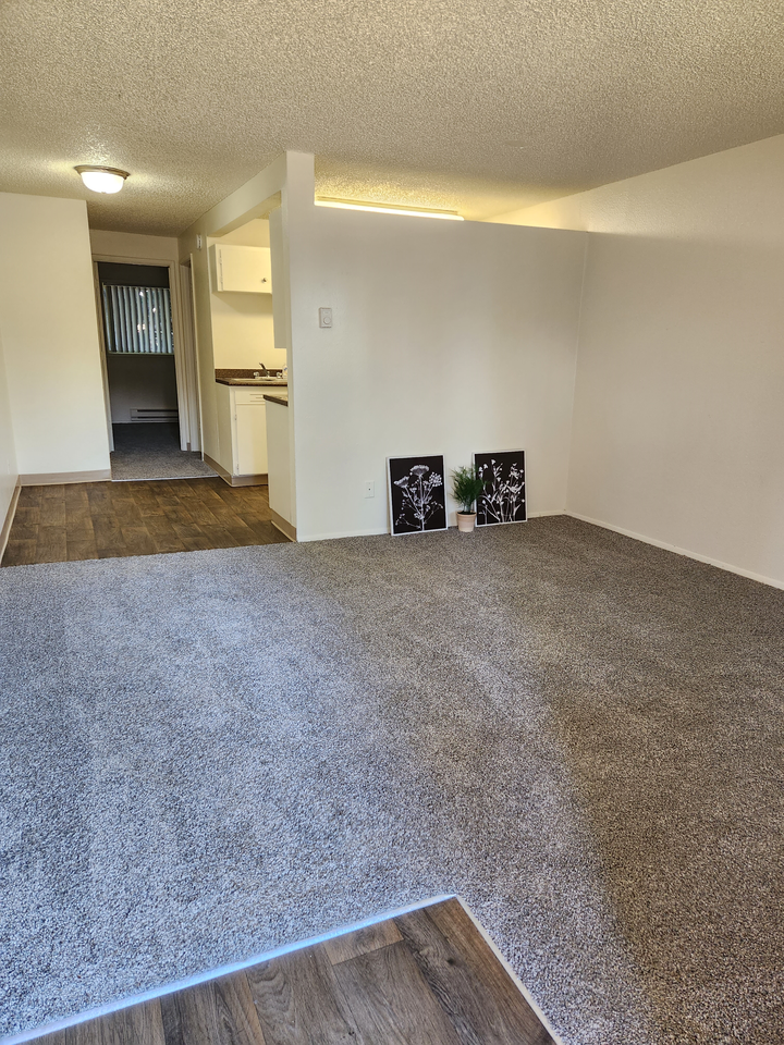 Wisteria Walk - Photo 7 of 20