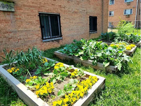 4905 Nash St Ne #301 - Photo 2 of 11