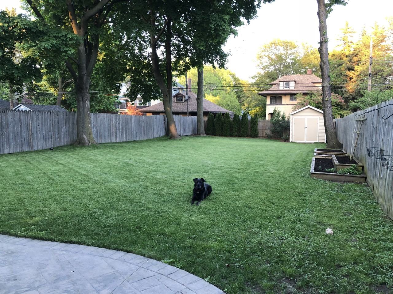 232 Laburnam Cres #NA - Photo 2 of 15