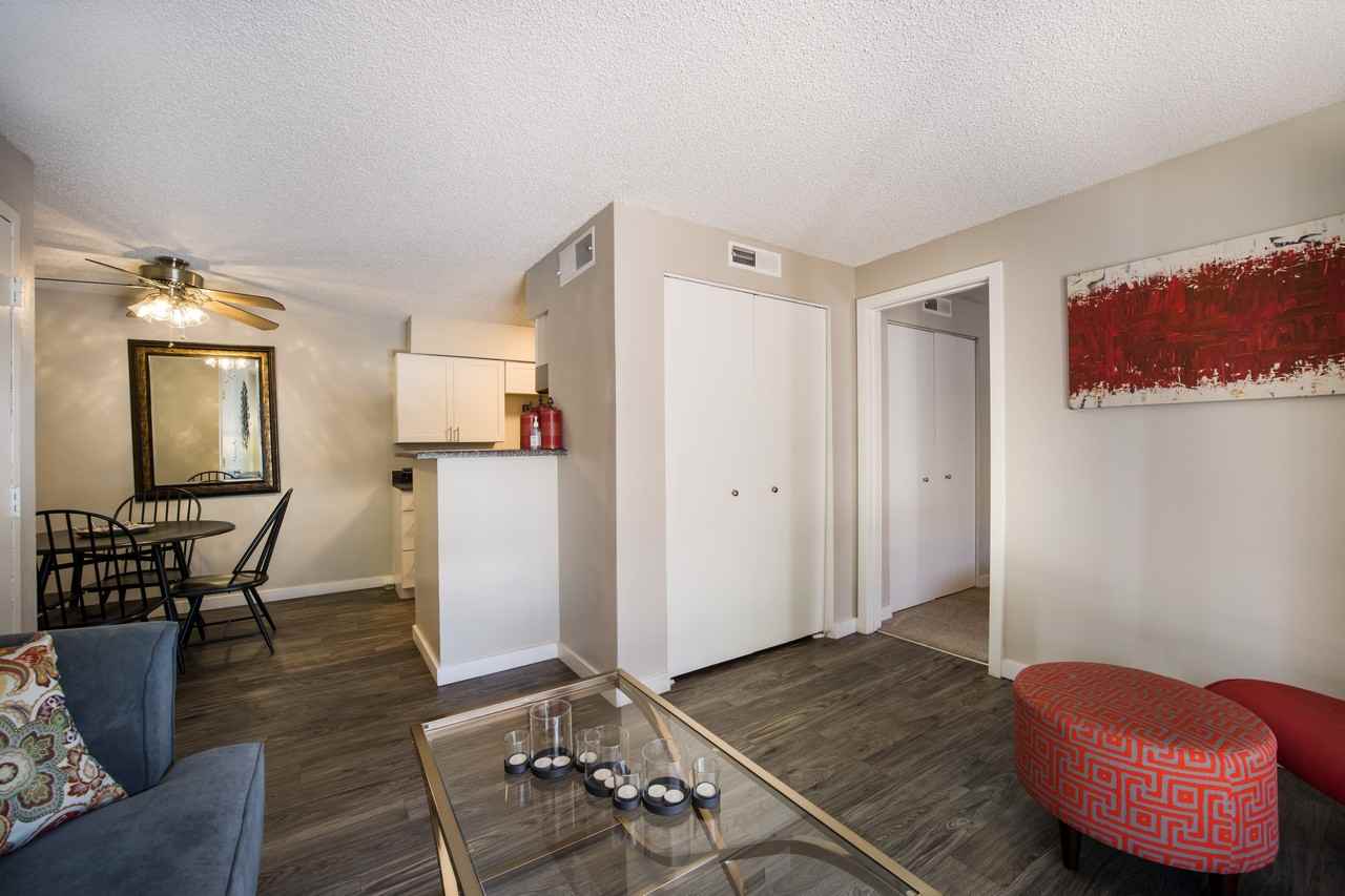 Windmill Apartments - Photo 6 of 31