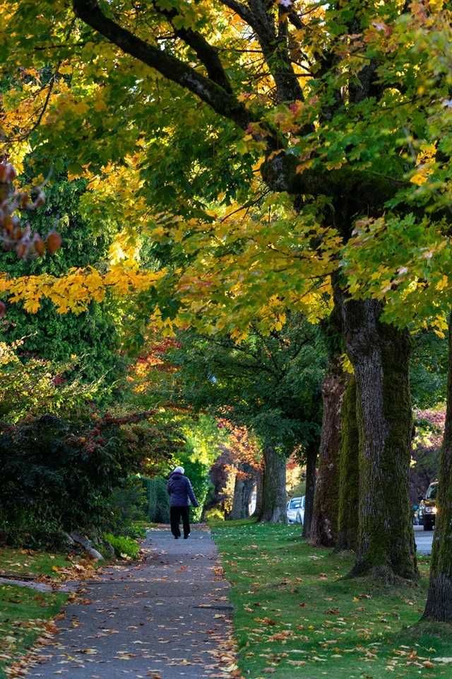 3200 East Boulevard - Photo 6 of 19