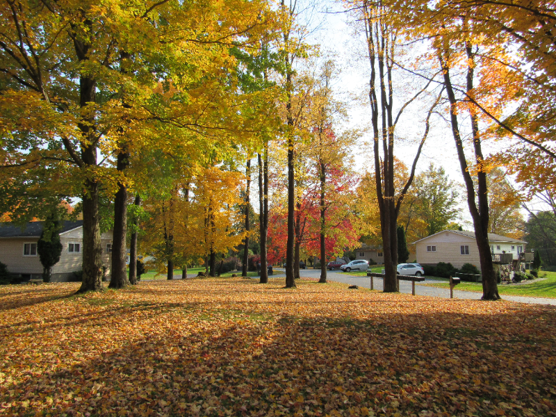 28 Hyde Park Dr #C - Photo 3 of 16