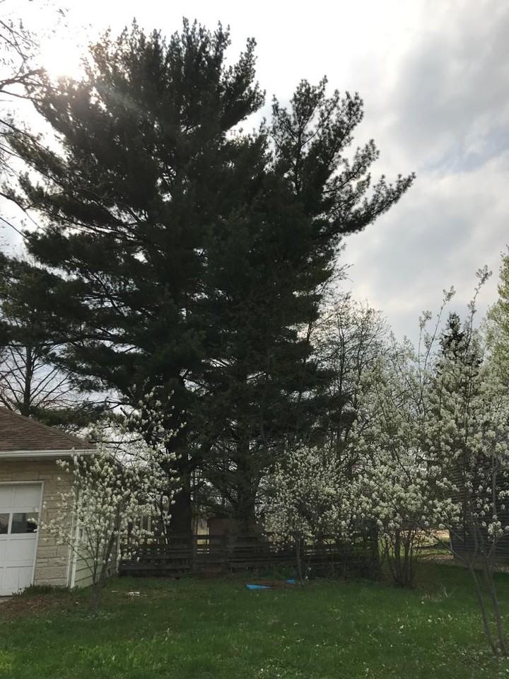 325 North Rutland Avenue - Photo 2 of 30