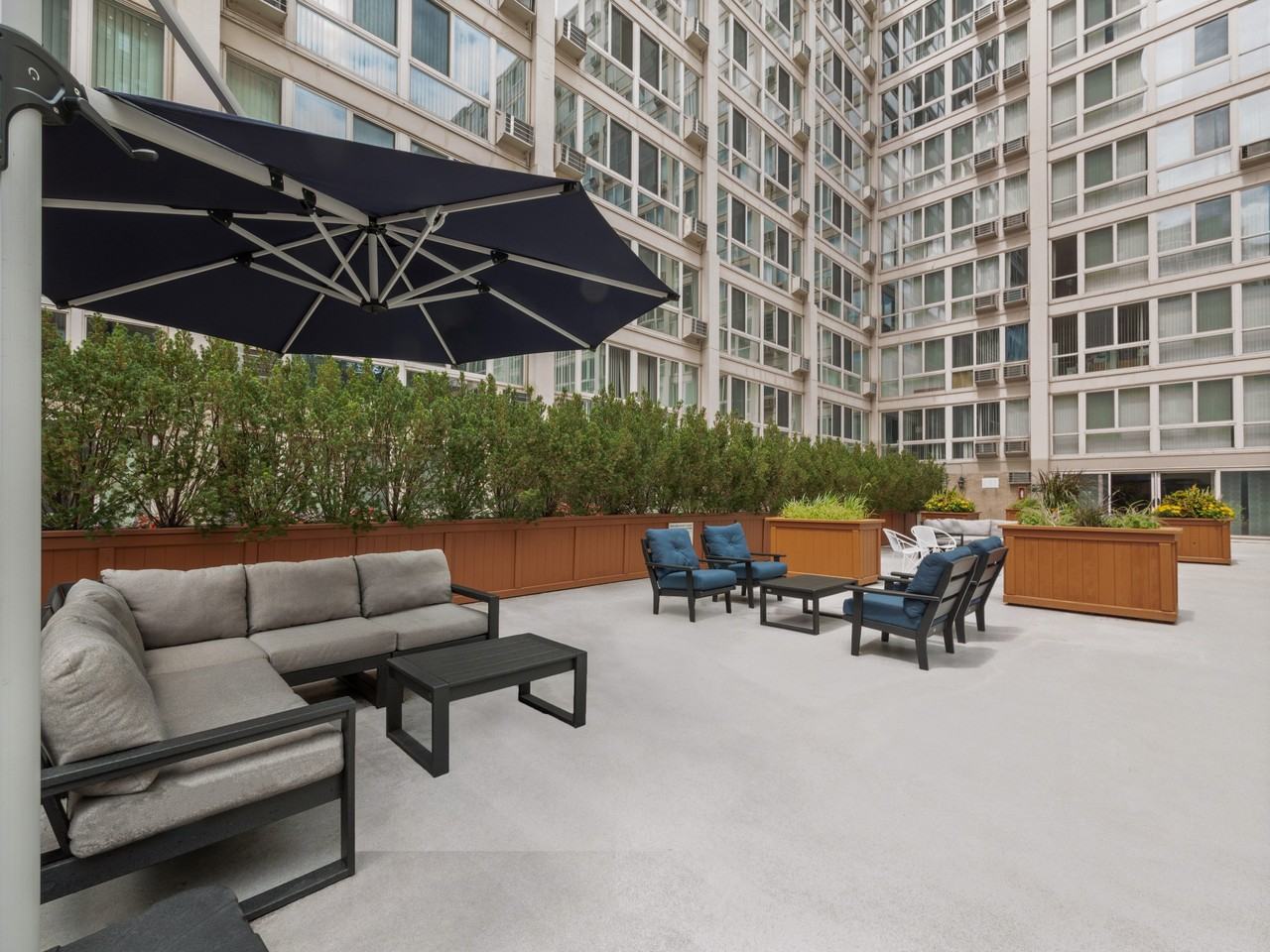 The Van der Rohe - Photo 5 of 50