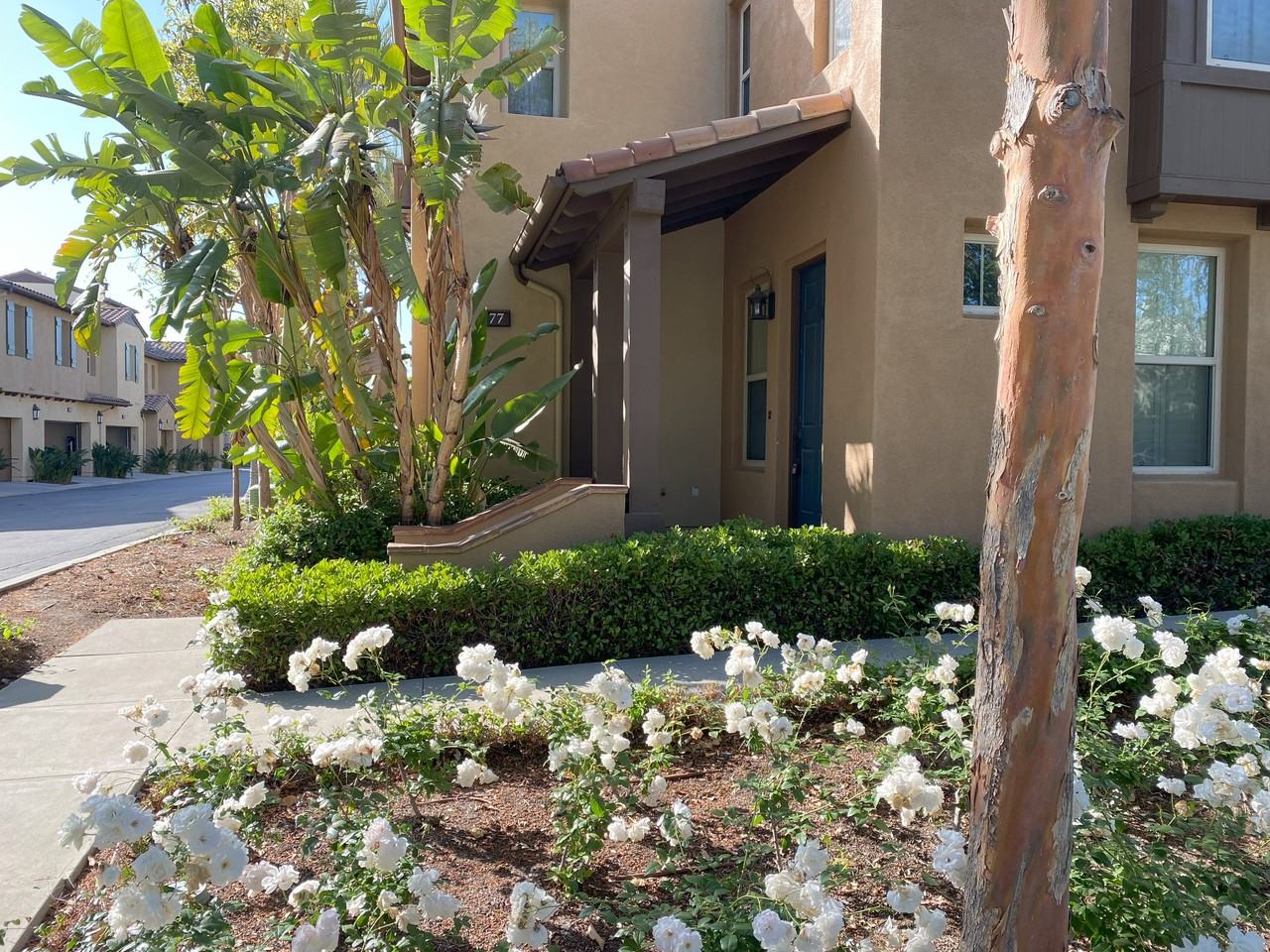 77 Winding Way - Photo 2 of 10