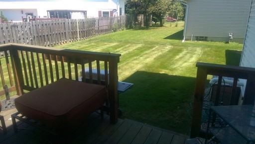 33644 Gloria Ave - Photo 2 of 37