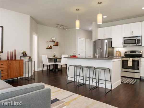 Steiner Ranch & N Quinlan Park - Photo 2 of 10