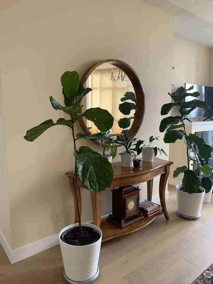 W Georgia St & Bute St