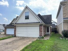 featured image of 9221 Lazzini Cv