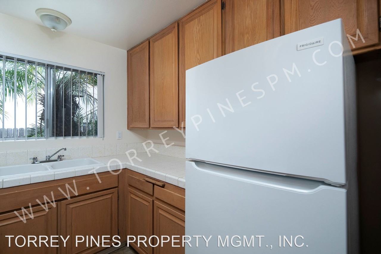 945 Chalcedony Street - Photo 3 of 23