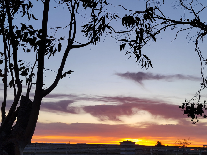 21800 State Highway - Photo 2 of 22