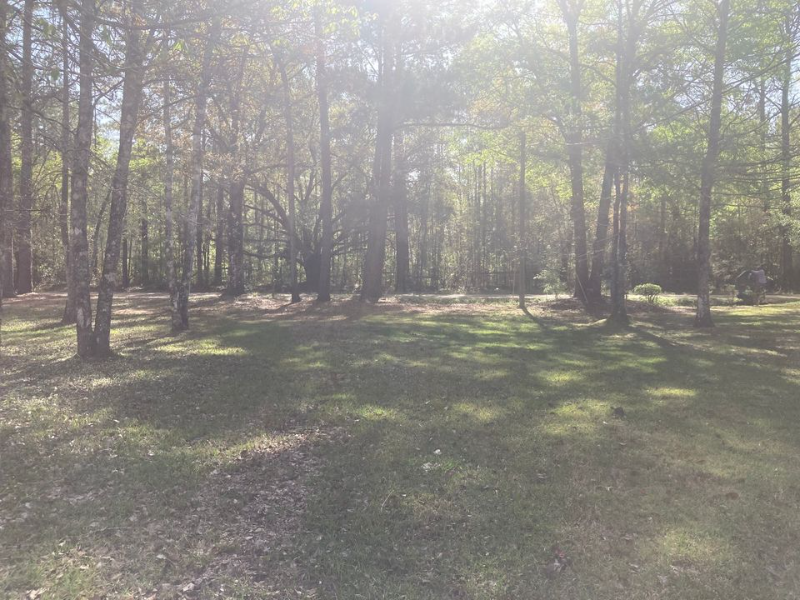 75493 Trinchard Rd - Photo 3 of 23