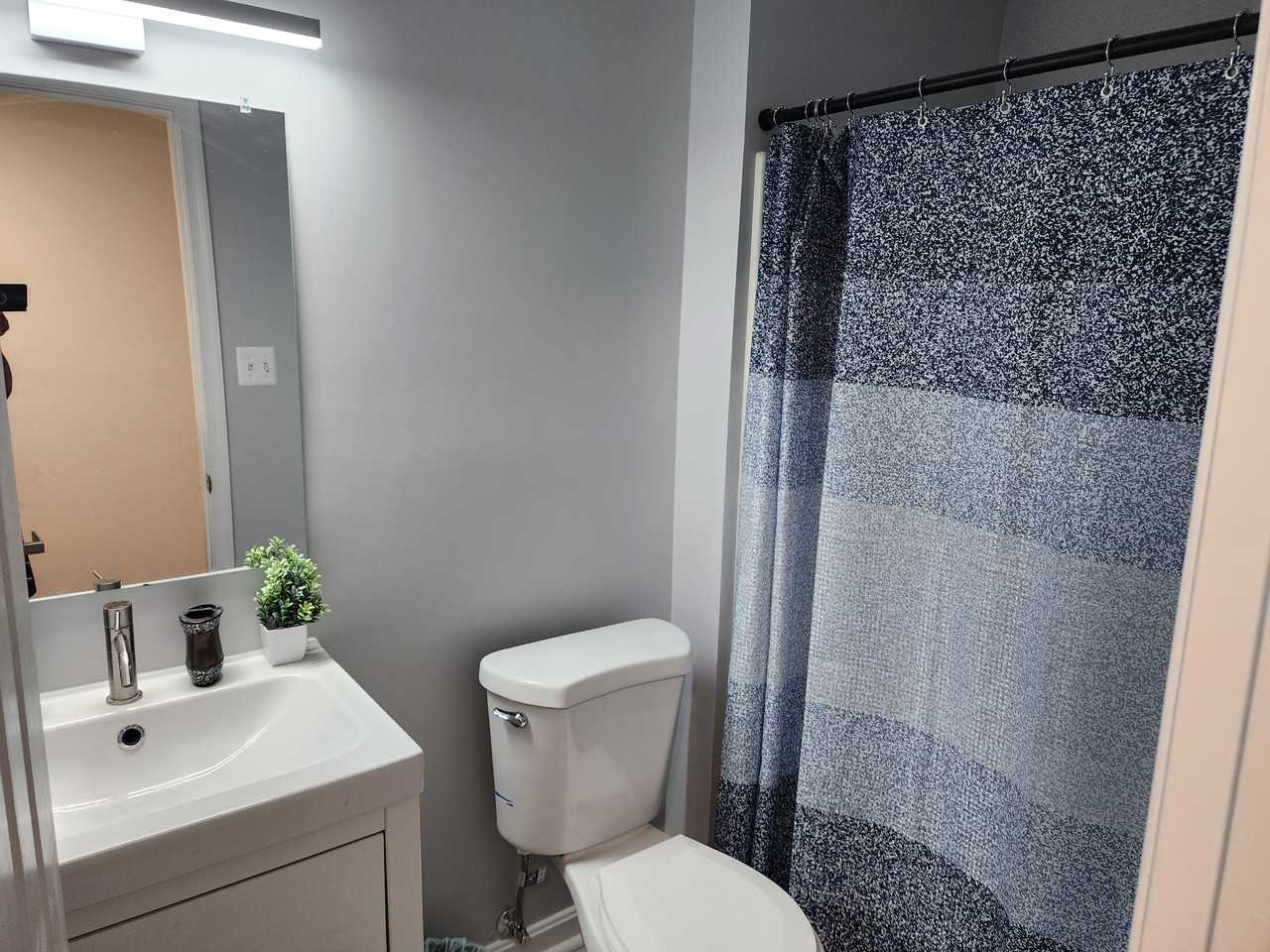 3105 Black Hickory Dr - Photo 3 of 8