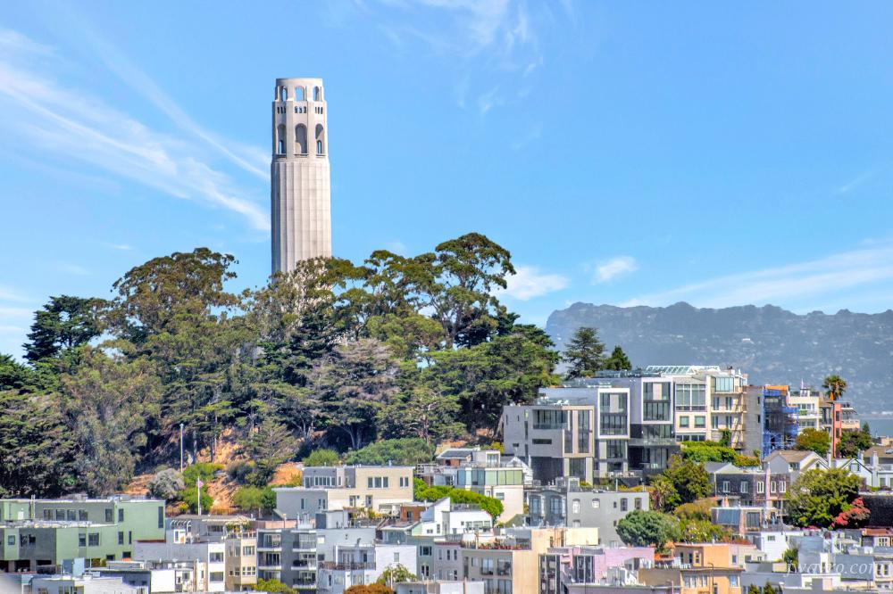 Taylor Street & Washington Street - Photo 4 of 23