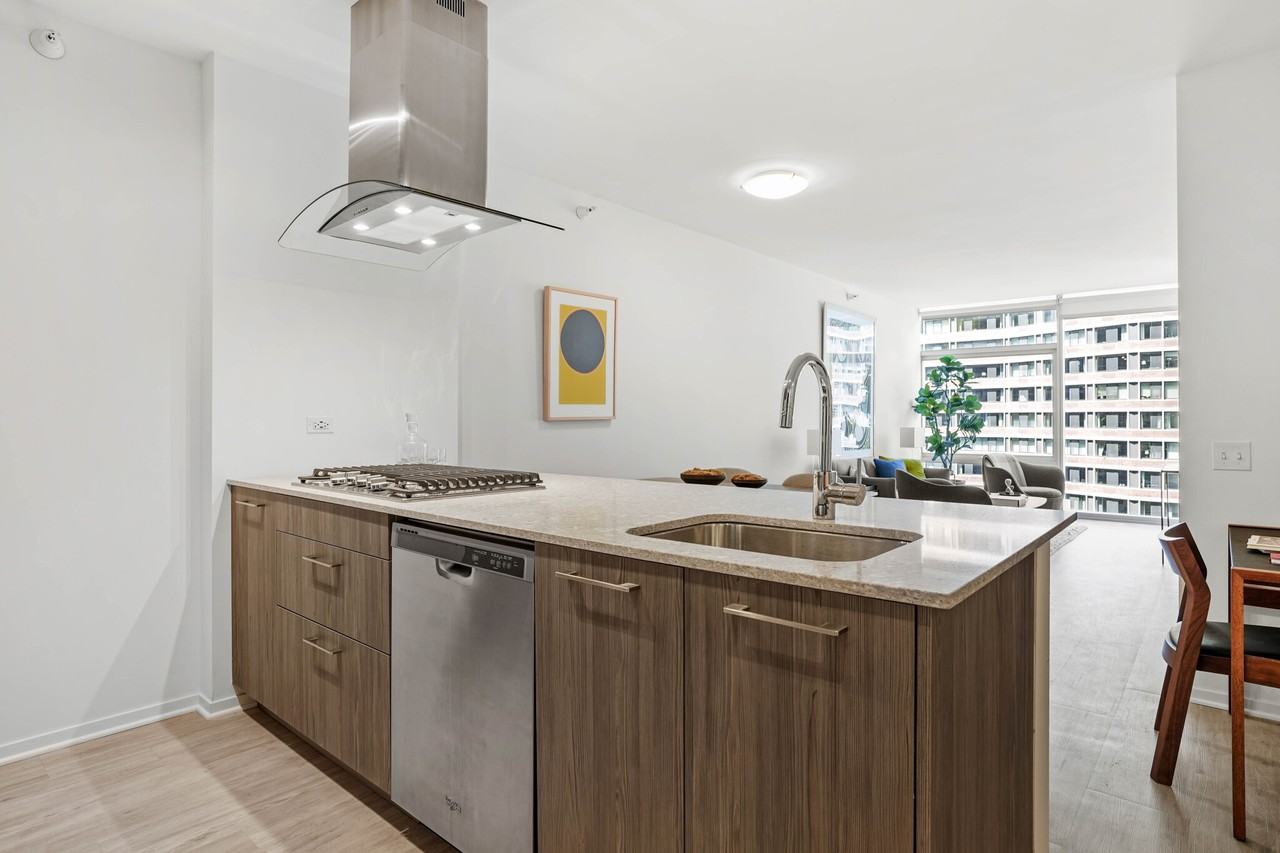 220 E Illinois St #1-1 - Photo 3 of 31