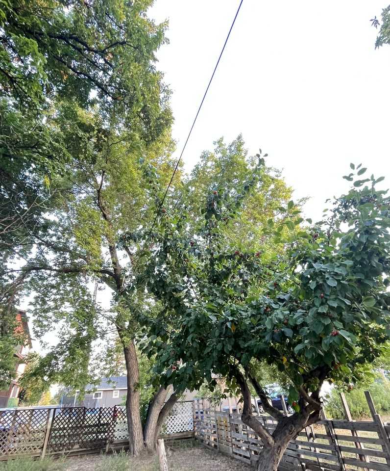 2 109Ast Ne - Photo 2 of 4