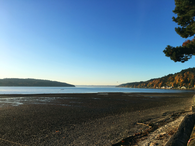 24520 Vashon Hwy Sw - Photo 3 of 10