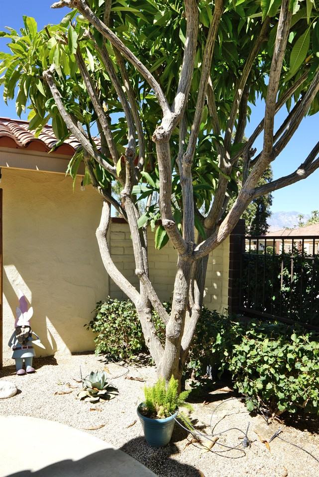 281 Calle Del Verano, Palm Desert, CA 92260 #1 - Photo 3 of 27