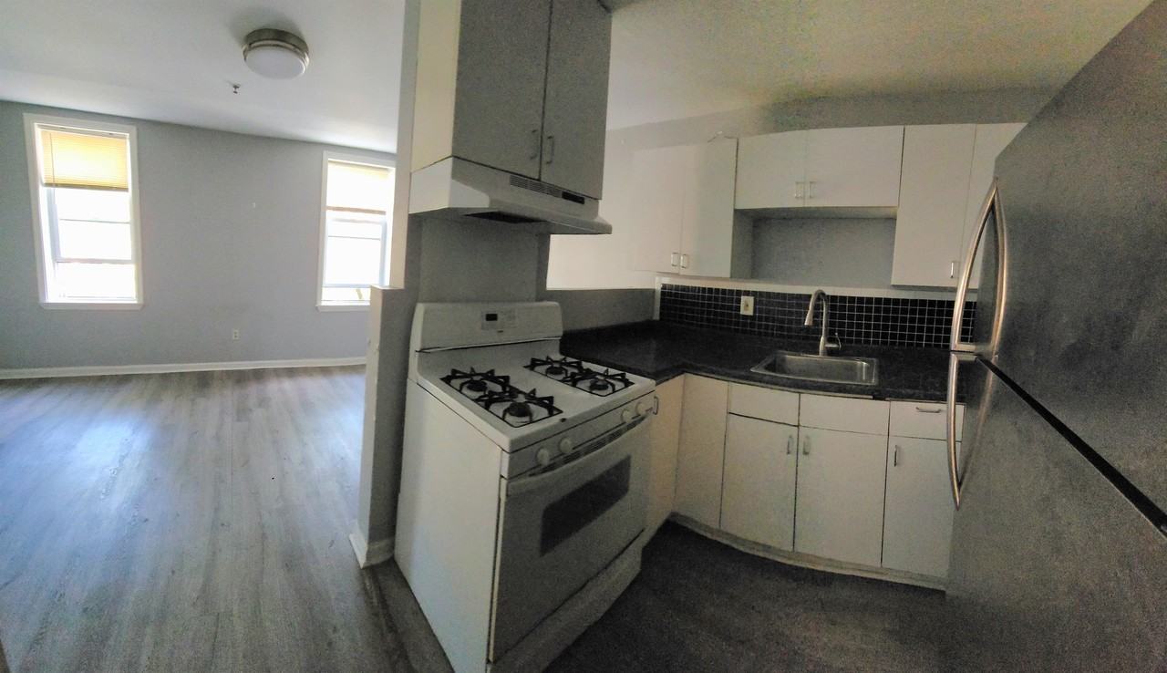 1704 W Diamond St Apt 2f #2F - Photo 4 of 13