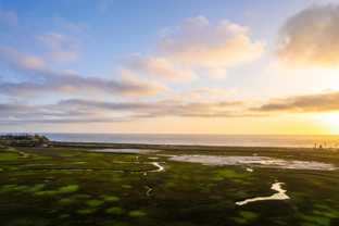 2465 Caminito Ocean Cove #1 - Photo 1 of 1