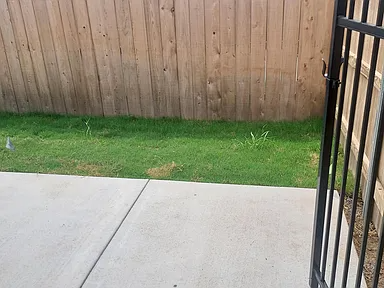 2334 E Cheyenne Ct - Photo 3 of 21