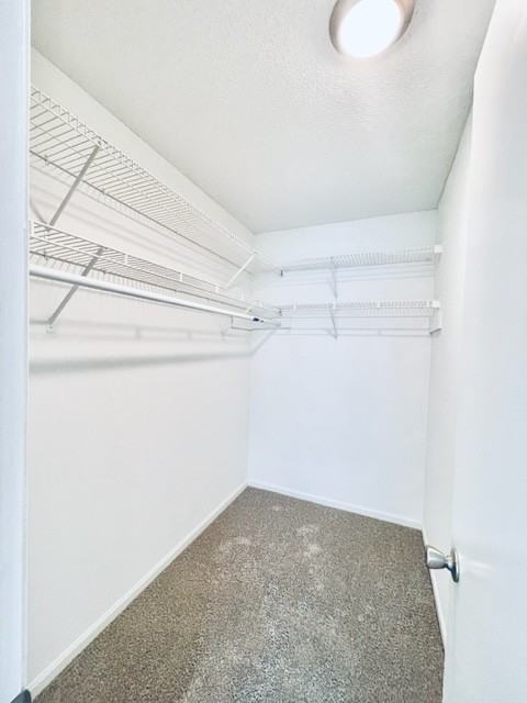 201 Notting Hill CircleApartment 1-205 #1-205 - Photo 6 of 11