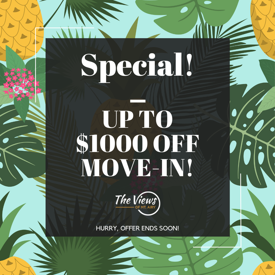 The Views of Mt Airy Apartments 2992 High Forest Ln, Cincinnati, OH