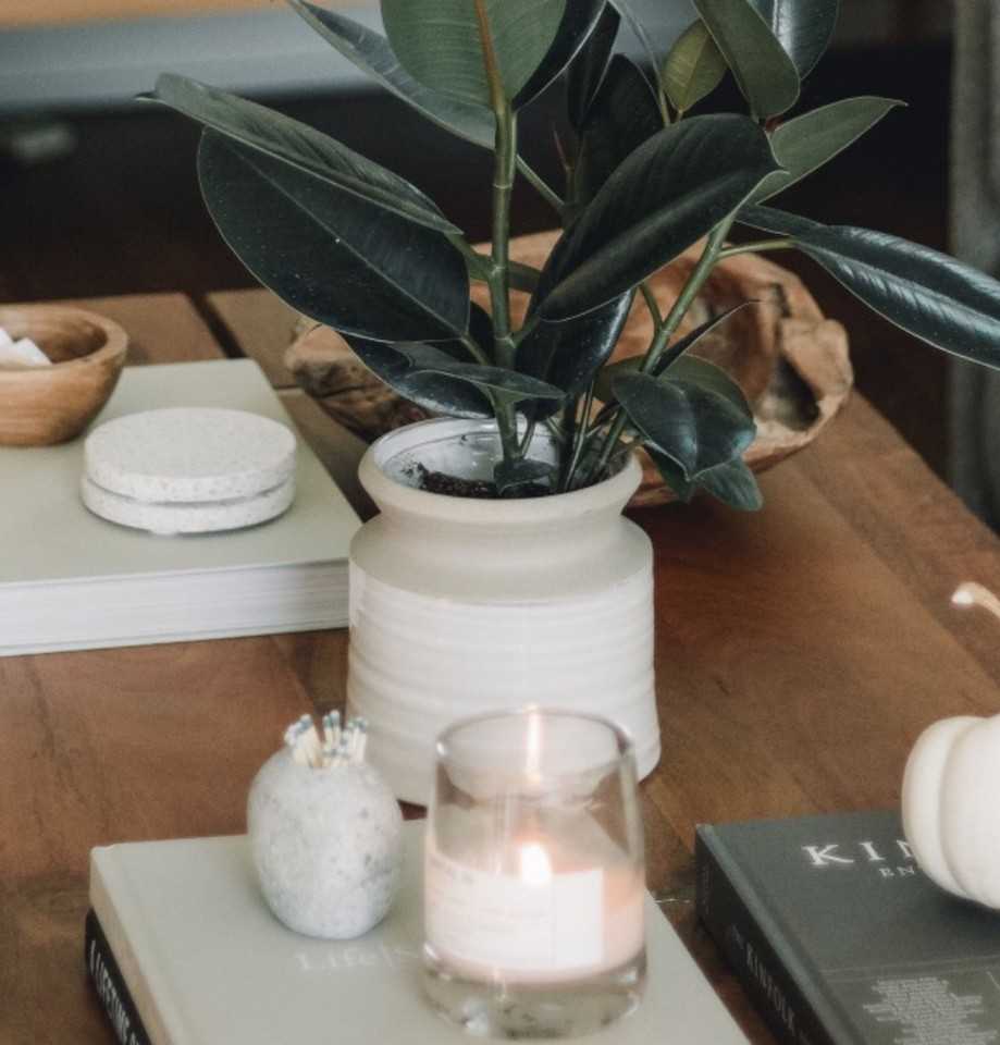 Woodland Cove - Photo 3 of 3