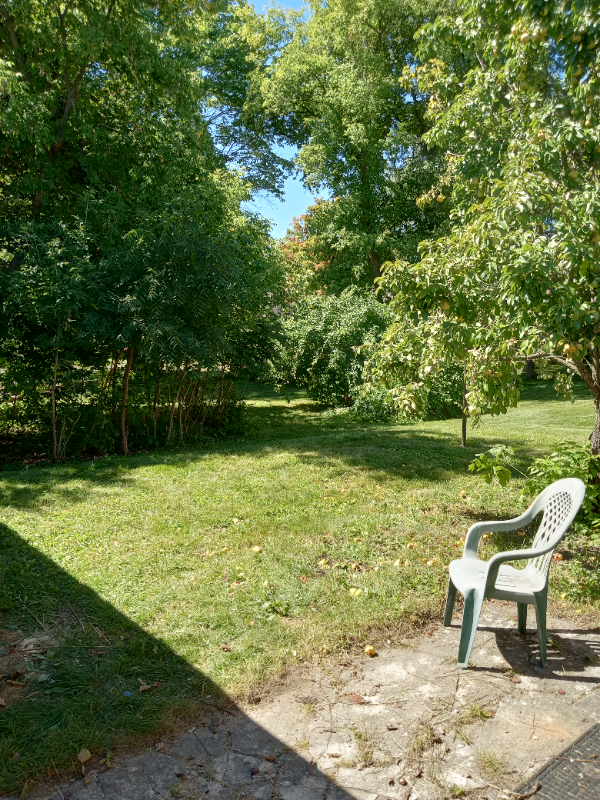 42 Felshow St - Photo 2 of 20