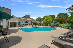 featured image of 1341 Ellis Forest Rd