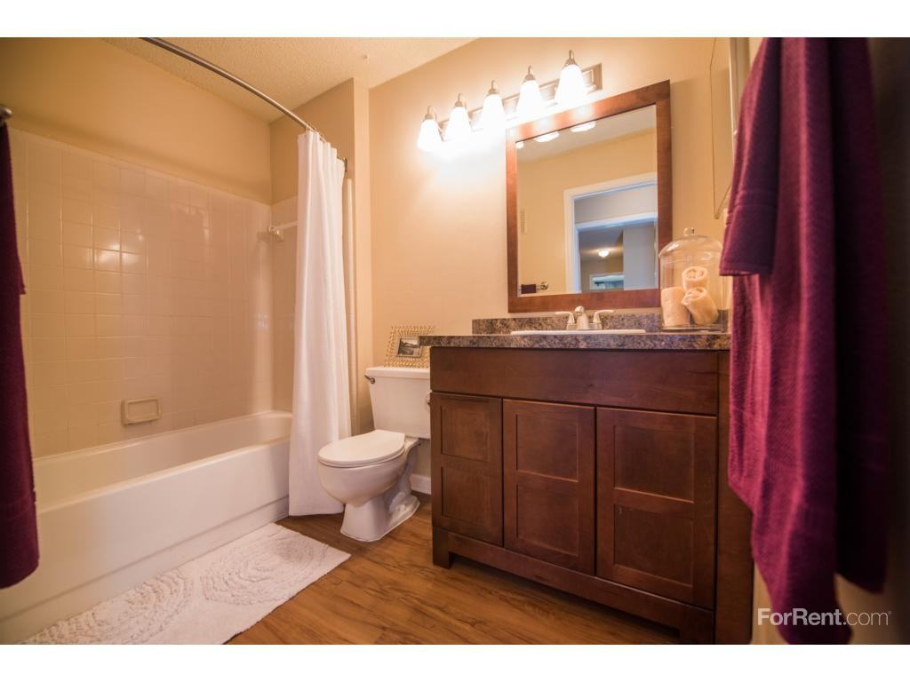 Grande Oasis at Carrollwood - Photo 2 of 11