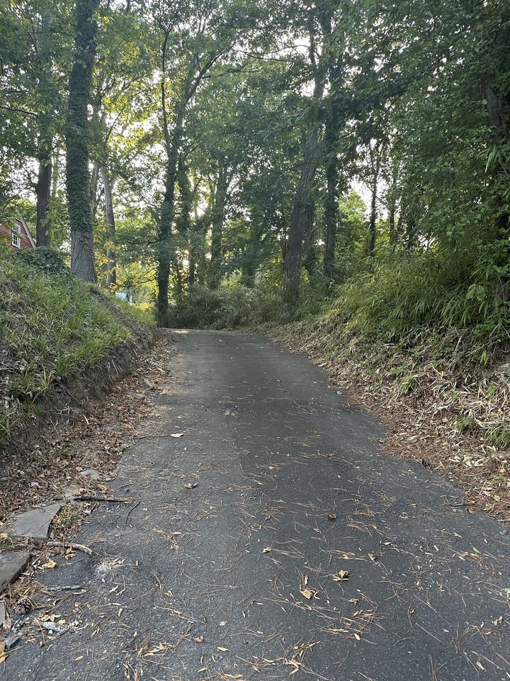 1517 N Roxboro St #1 - Photo 2 of 19