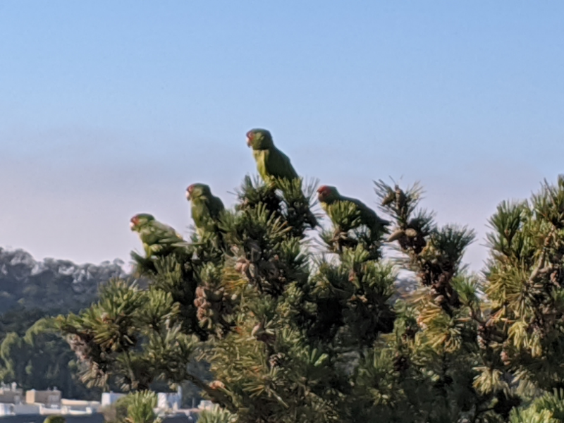 181A Downey St #181A - Photo 2 of 20