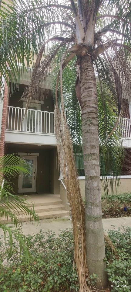 850 N Oregon Ave - Photo 3 of 9