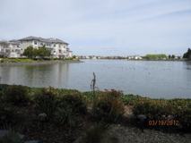 206 Mendocino Way - Photo 1 of 1