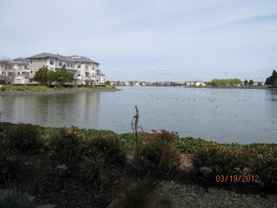 206 Mendocino Way - Photo 1 of 1