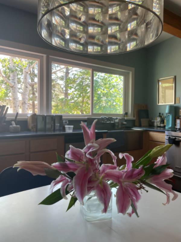 6 Camino Amansador - Photo 3 of 24