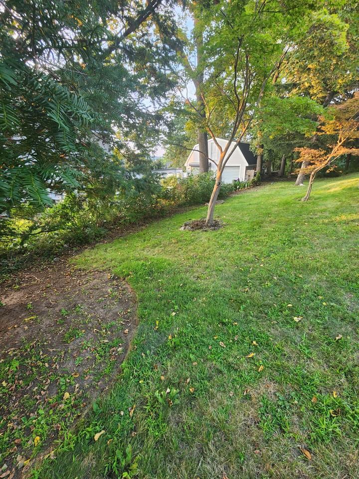 33 Lafayette Street #2 - Photo 7 of 10