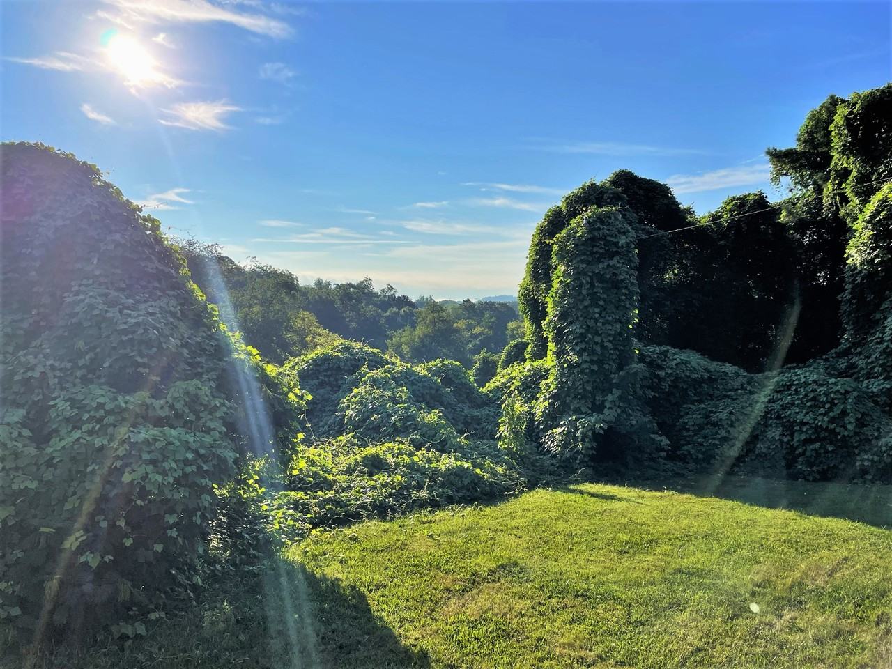 3210 Landview Dr #1 - Photo 2 of 5