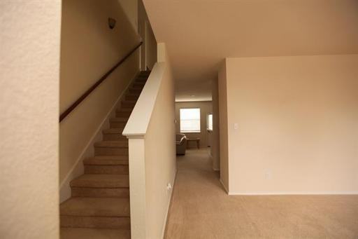 3900 Dumas Dr - Photo 3 of 43