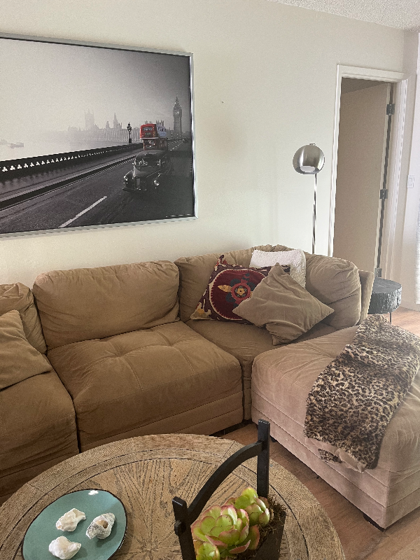 6891 Pasado Rd - Photo 6 of 42