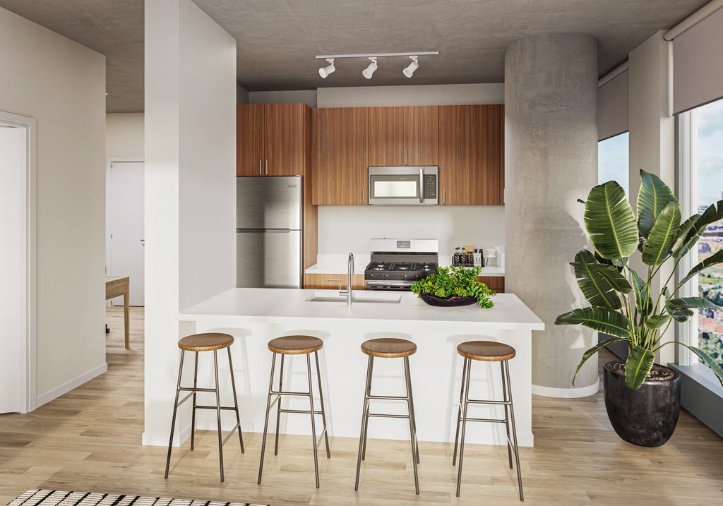 South Wabash Avenue #3003 - Photo 2 of 15