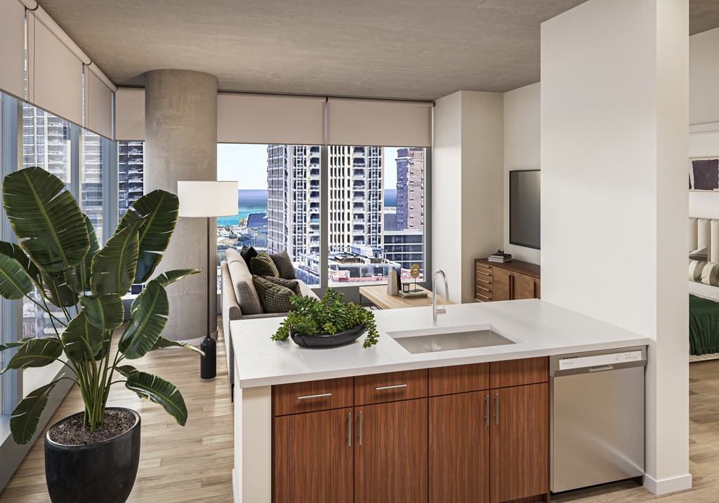 South Wabash Avenue #3003 - Photo 3 of 15